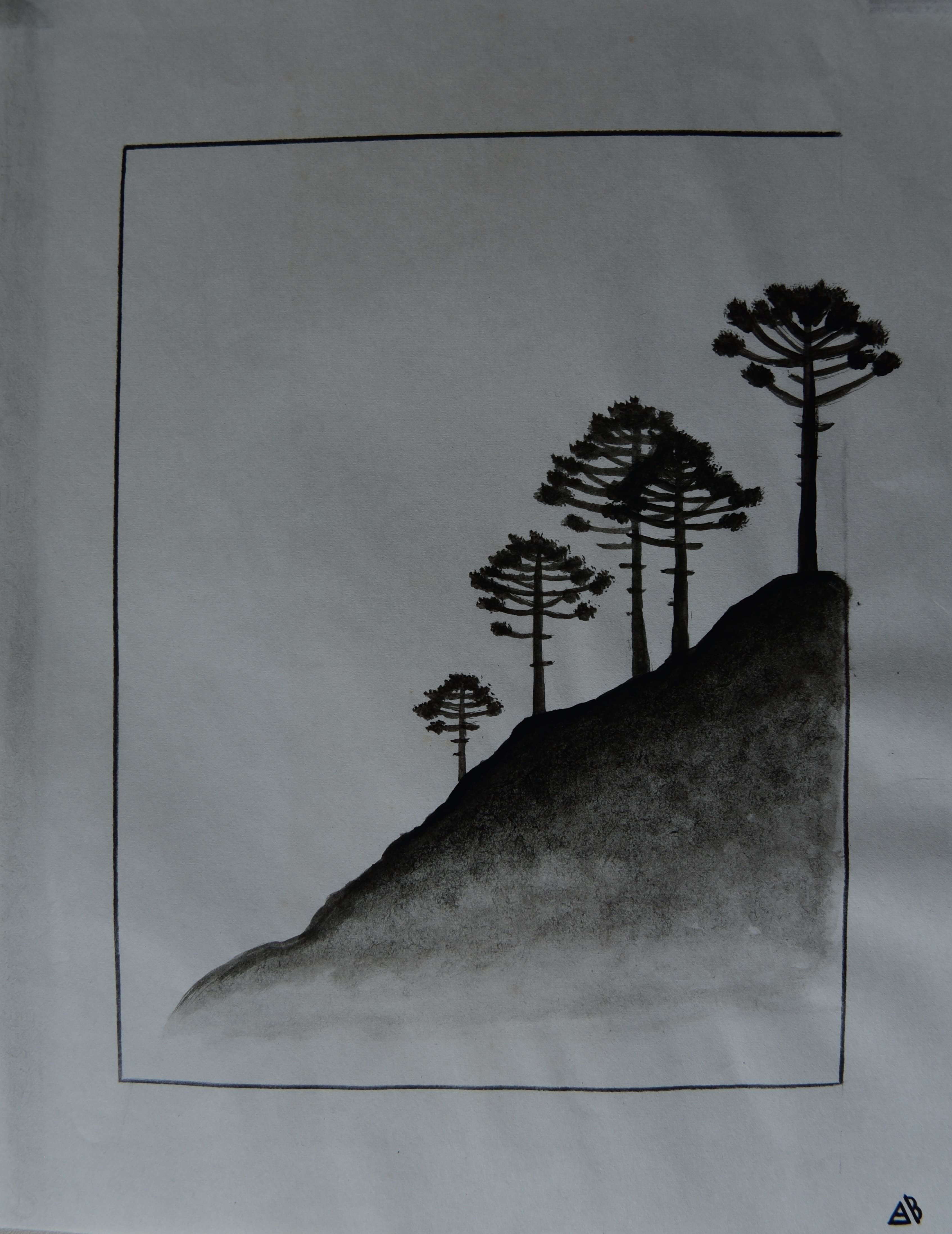 Obra 4 - Araucárias orientais